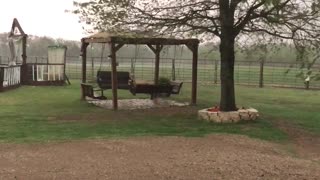 High Winds Send Anchored Down Trampoline Over Fence