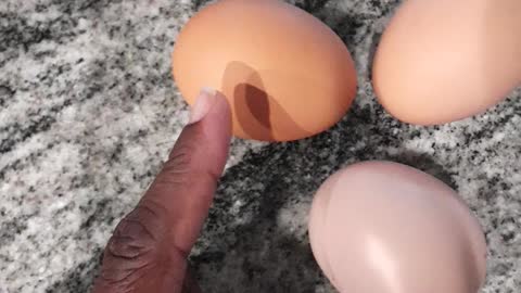 Our chickens layed eggs
