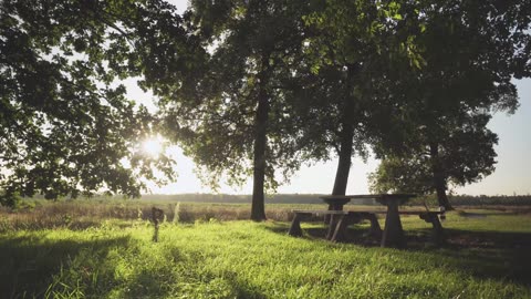 Fall asleep instantly by listening to the sounds of rain and birds chirping.