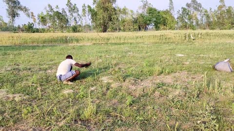 The Real Rural Life Of Countryside India Village || Uttar Pradesh Real Life Indian