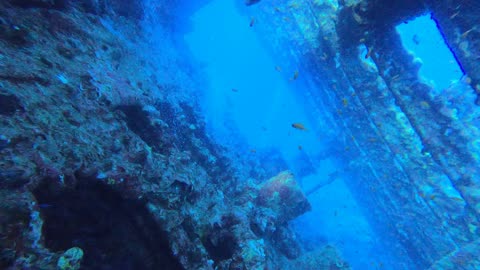 Red Sea SCUBA Diving - Chrisoula K Wreck swimthrough