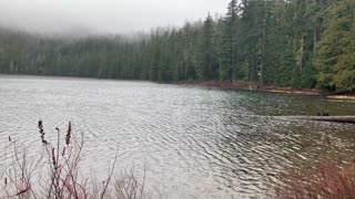 Oregon – Mount Hood National Forest – Northern Shore View of Lower Twin Lake – 4K