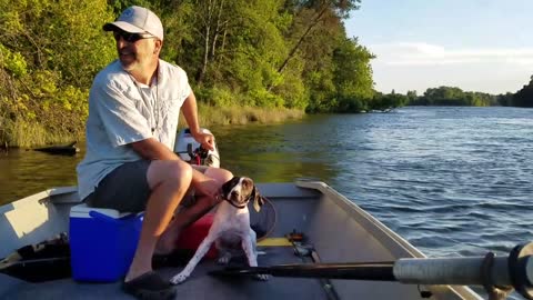 Puppy Rescue from American River