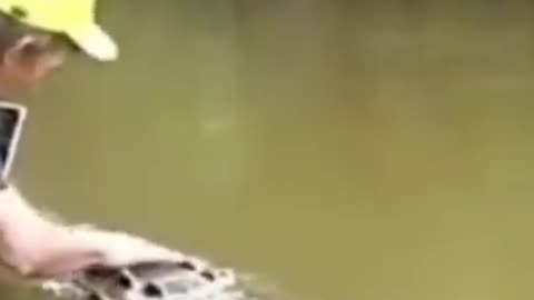 killer crocodile attacks human