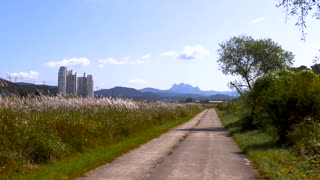 ground road out at the farm