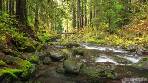 Enjoy these video? 10 best places visit to Washington and follow us to watch good video