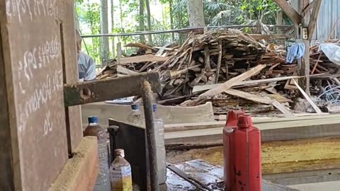 So Suspect!! Sawing High-Value Old Wood Belongs to the Sultan of Borneo