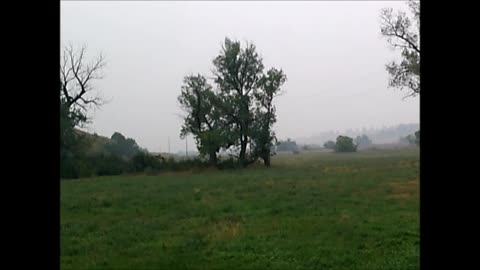 Elk - Distant Blurs Only - Posted for Info vs Nat Geo; Sorry. AKA: Time for a Zoom lens / Camera!