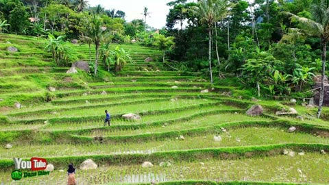 wow beautiful scenery feet and the cultivation of Indonesian music