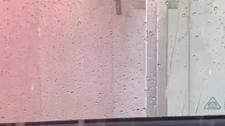 Occupants Get Wet During Car Wash
