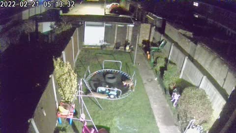 Security Camera Catches Foxes Playing on Trampoline