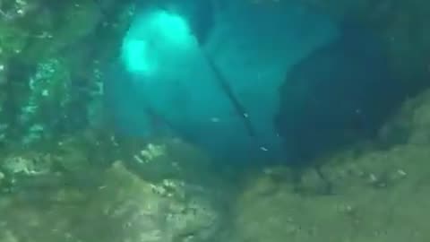 Underwater cave diving in Blue Hole Spring (Ichetucknee Springs, Florida)