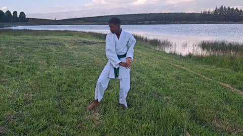 B42 - Santino Onckers - Green - Pinan Nidan