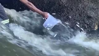 Man Catches Jumping Fish With a Pitcher