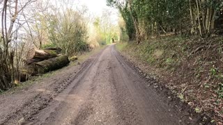 Vlog while hiking. GOPRO ON A CHEST MOUNT. NEW FOREST.