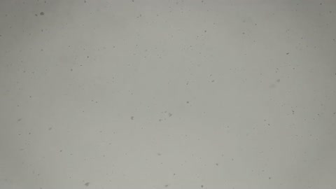 Winter falling snowflakes in slow mo