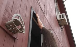 Door frame pull-up with 10 lb weight
