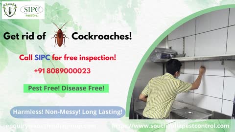 Cockroach Control in Kochi