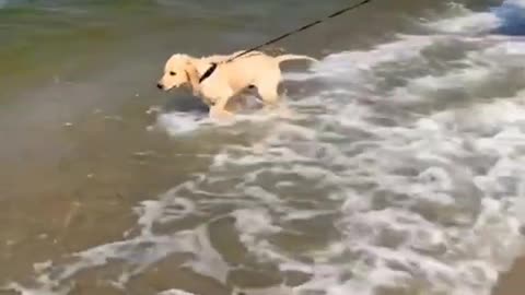 Is this your first time at the beach