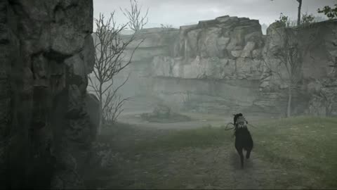 SHADOW OF THE COLOSSUS PS5 clips PartWCS