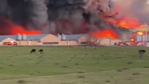 Several fire departments battle fires in Texas #shorts