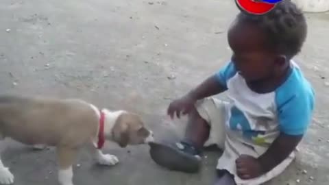 fight between child and MMA dog 😯