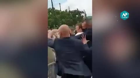 French President slapped Mr Macron
