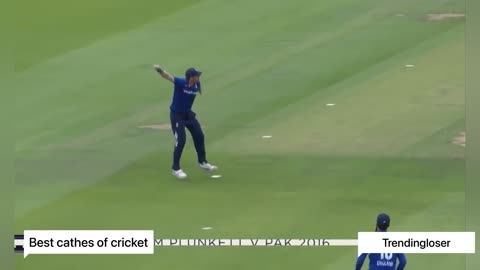 Best catch of cricket world don't miss