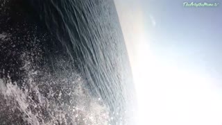 Lake Michigan | Speedboat ~ Taste the rainbow