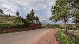 Wildlife Loop (Custer State Park SD.)