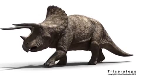 Triceratops walking (with sound effects)