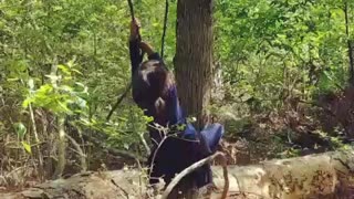 Little girl on rope swing runs into tree