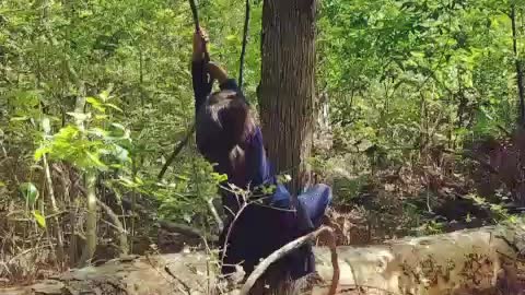 Little girl on rope swing runs into tree