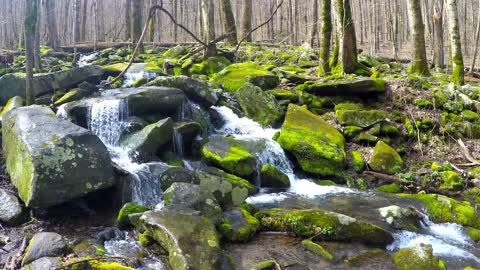 Gatlinburg Mountain Stream