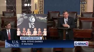 Republican Senator BLASTS The Left For Caring More About Sea Turtles Than Babies