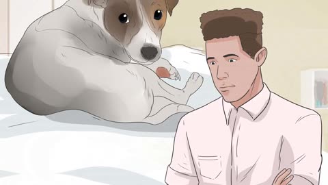Encourage Your Dog to Sleep in Your Bed - This actually Works