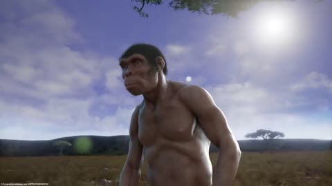 evolution from ape to man