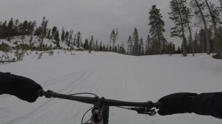 Winter Fat Biking down Gold Run road to Preston Town site