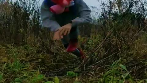 Fursuit in the forest. Very interesting video.