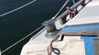 Trying to dock under sail