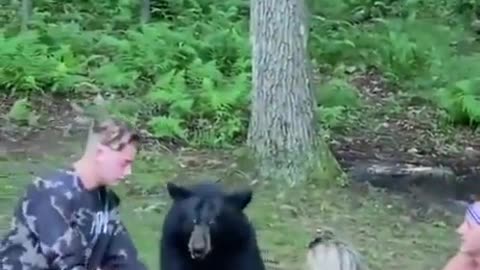 Black Bear Joins Family For a Peanut Butter Sandwich