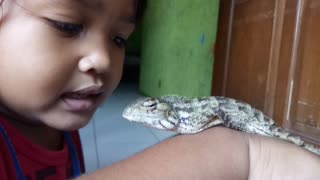 are chameleons good pets for kids