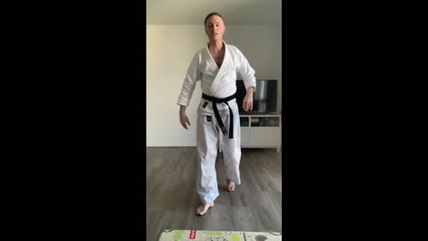 Karate Basics 2