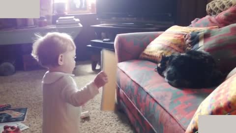 wow this baby play with cute cat