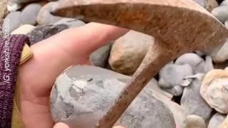 Discovering perfect fossils inside Jurassic stones