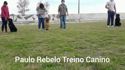 Happy Easter from Paulo Rebelo Treino Canino