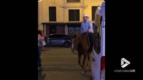You can lead a horse to the bar!