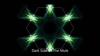 Dark Side Of The Mule