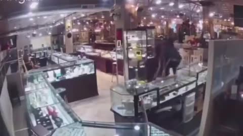 Thieves rob the wrong jewelry store