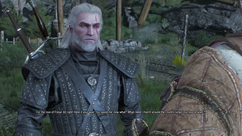 The Witcher 3 Possession part 1